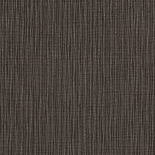 Bark Swatch Teaser